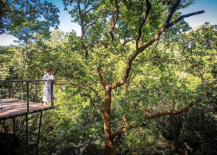 Rio Perdido & Thermal River 4* Bagaces